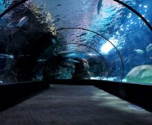 aquarium hallway