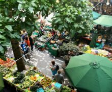 people standing near patio umbrella surrounded with fruits and vegetable stalls